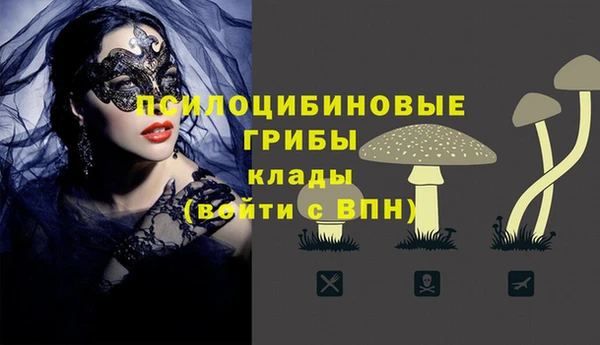 гидра Беломорск