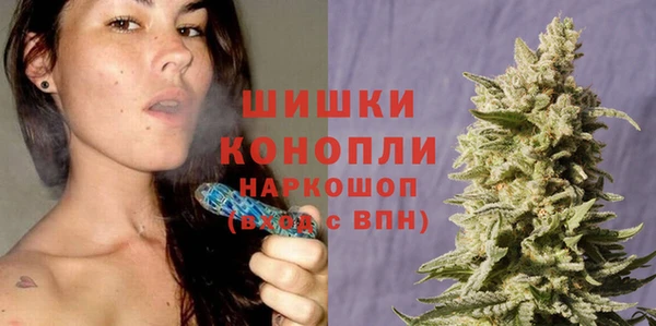 эйфоретик Белокуриха