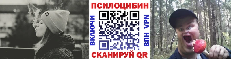 Галлюциногенные грибы мухоморы Волхов